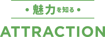 魅力を知る